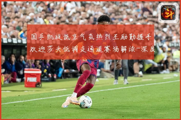 国乒凯旋抵京气氛热烈王励勤握手欢迎莎头低调走通道赛场解读-深度解析