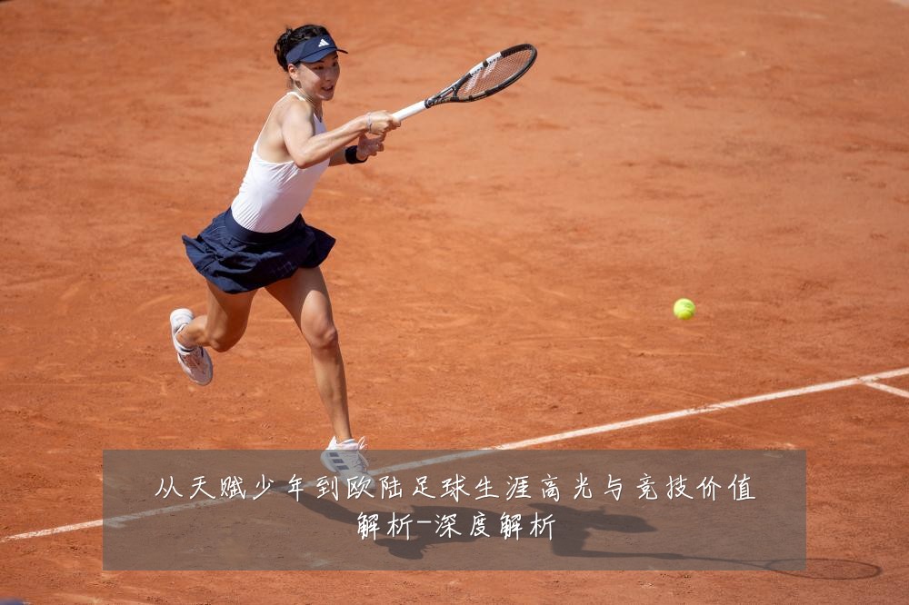 从天赋少年到欧陆足球生涯高光与竞技价值解析-深度解析