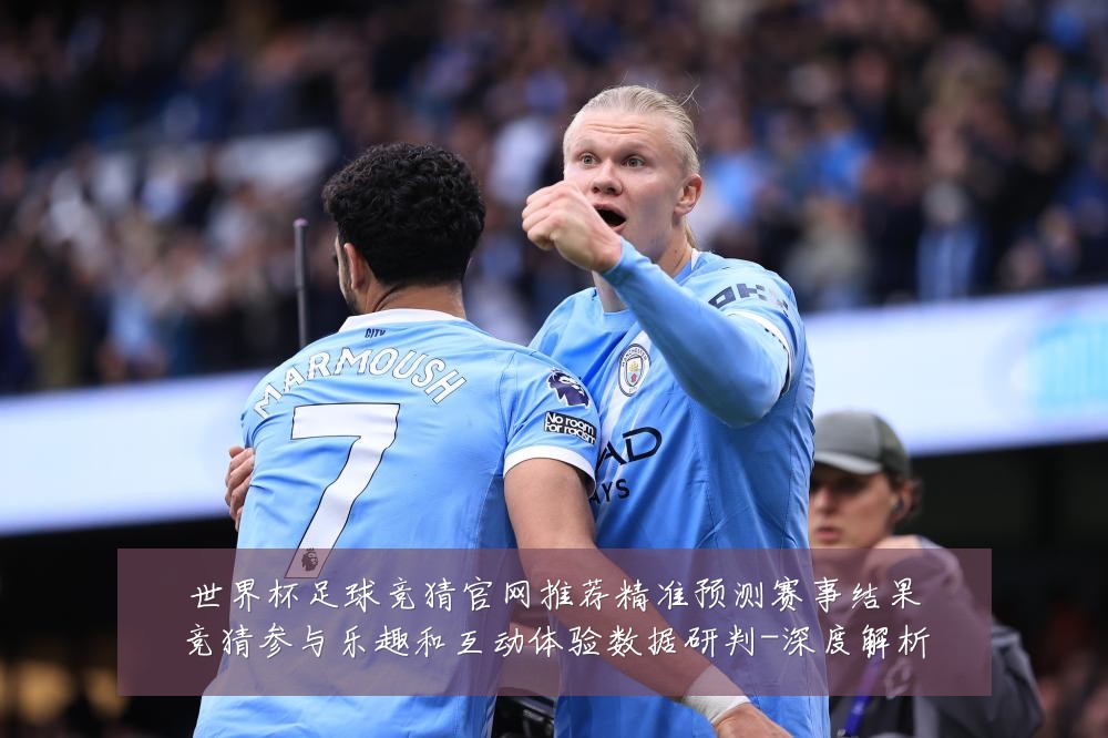 世界杯足球竞猜官网推荐精准预测赛事结果竞猜参与乐趣和互动体验数据研判-深度解析